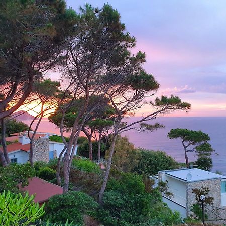 La Terrazza Sul Forno - Goelba Apartment Портоферайо Екстериор снимка